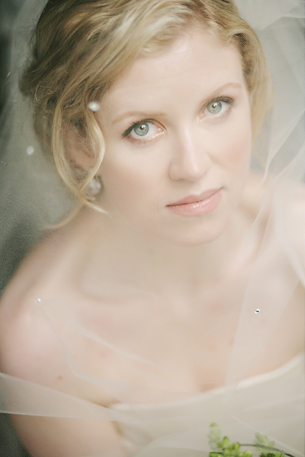 Sheer bridal veil with soft wedding make-up- photo by Chris plus Lynn Photographers